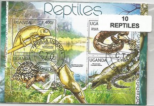 10 blocs thematique " Reptiles"