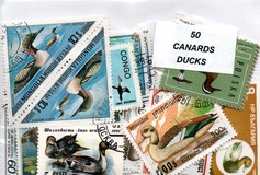 50 timbres thematique " Canards"