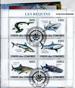 10 blocs thematique " Requins "