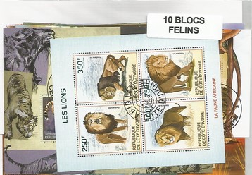 Lot 10 blocs thematique " Felins""