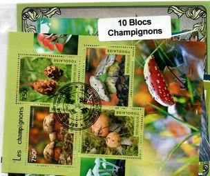 10 blocs thematique " Champignons "