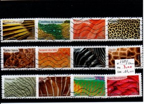 Animaux en couleurs (2024)