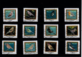 Melodies d'oiseaux (2025)