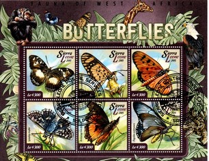 blocs thematique " papillon 1 "