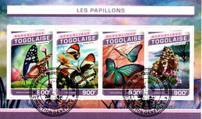 bloc thematique " papillons 24