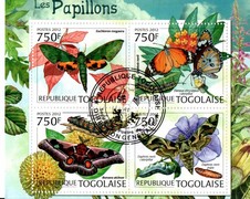 bloc thematique " papillons 40